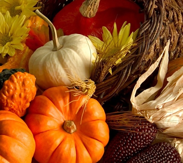 Thanksgiving