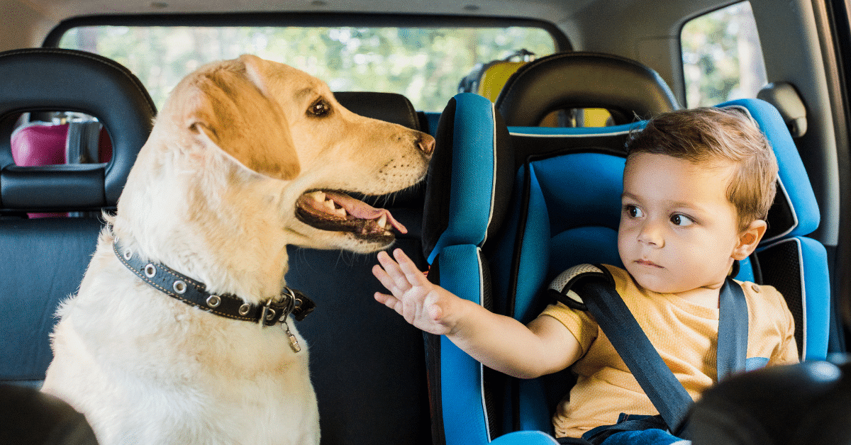 Confused about Carseats  1