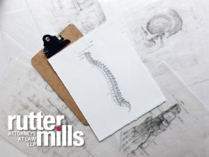 pencil sketch of spine