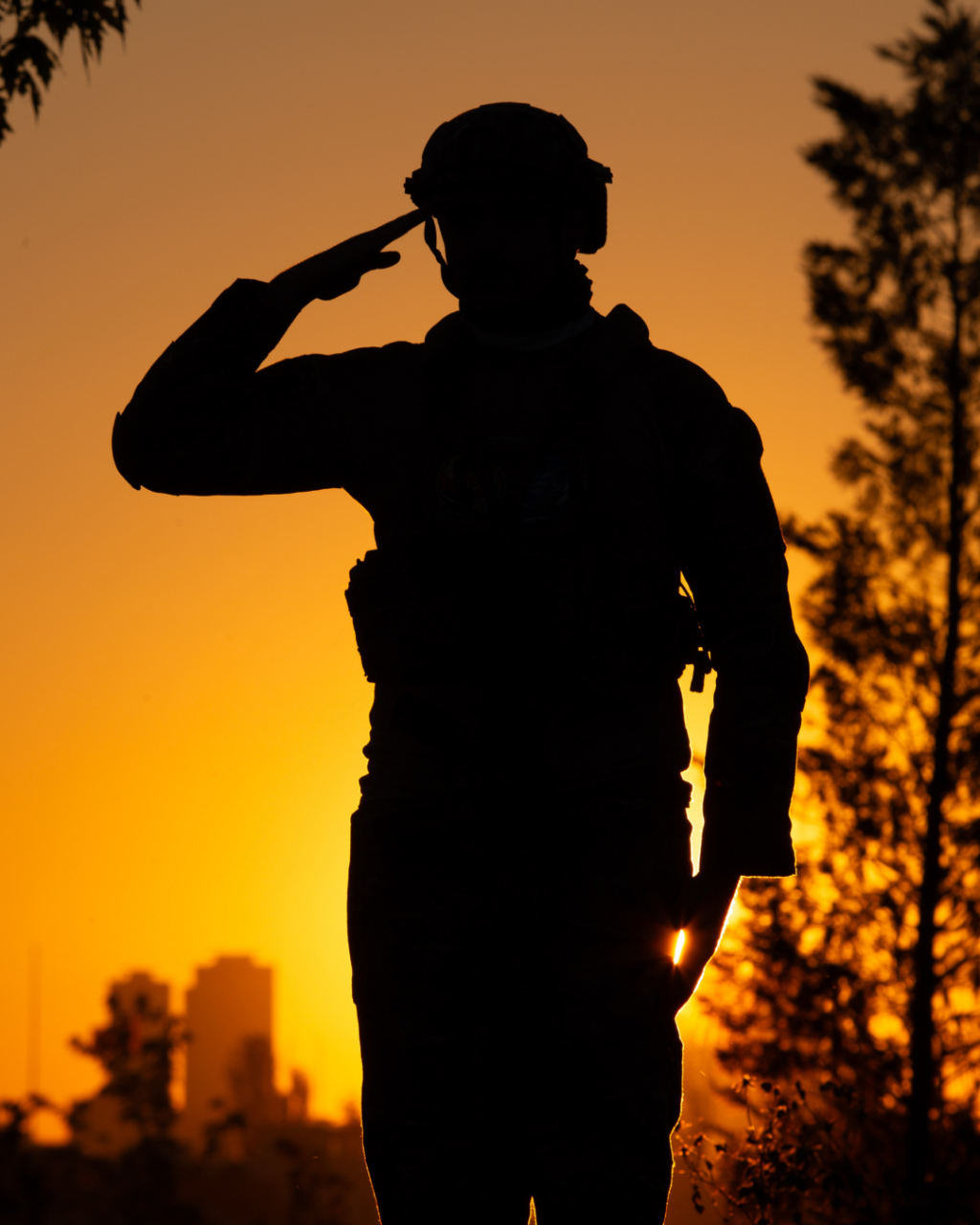 veterans disability lawyers