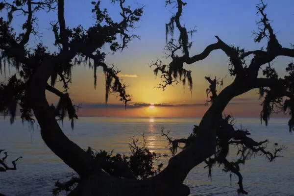 Nags Head NC nags-head-injury-lawyers